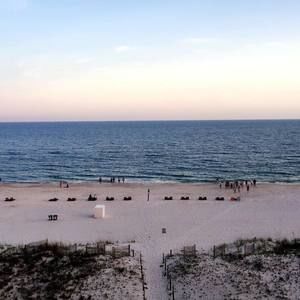 Meet your Posher, Kaylee